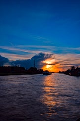 p1000107-standard.jpg