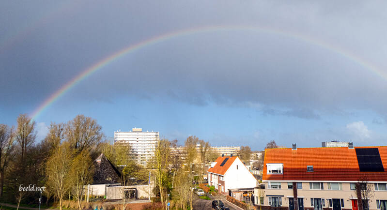p1001034-standard-7r24du.jpg