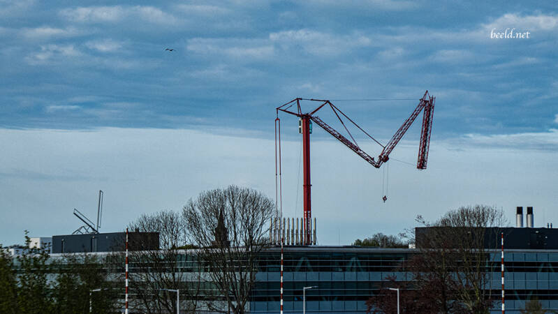 p1001427-standard.jpg