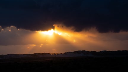 p1010756-standard-o6befl.jpg