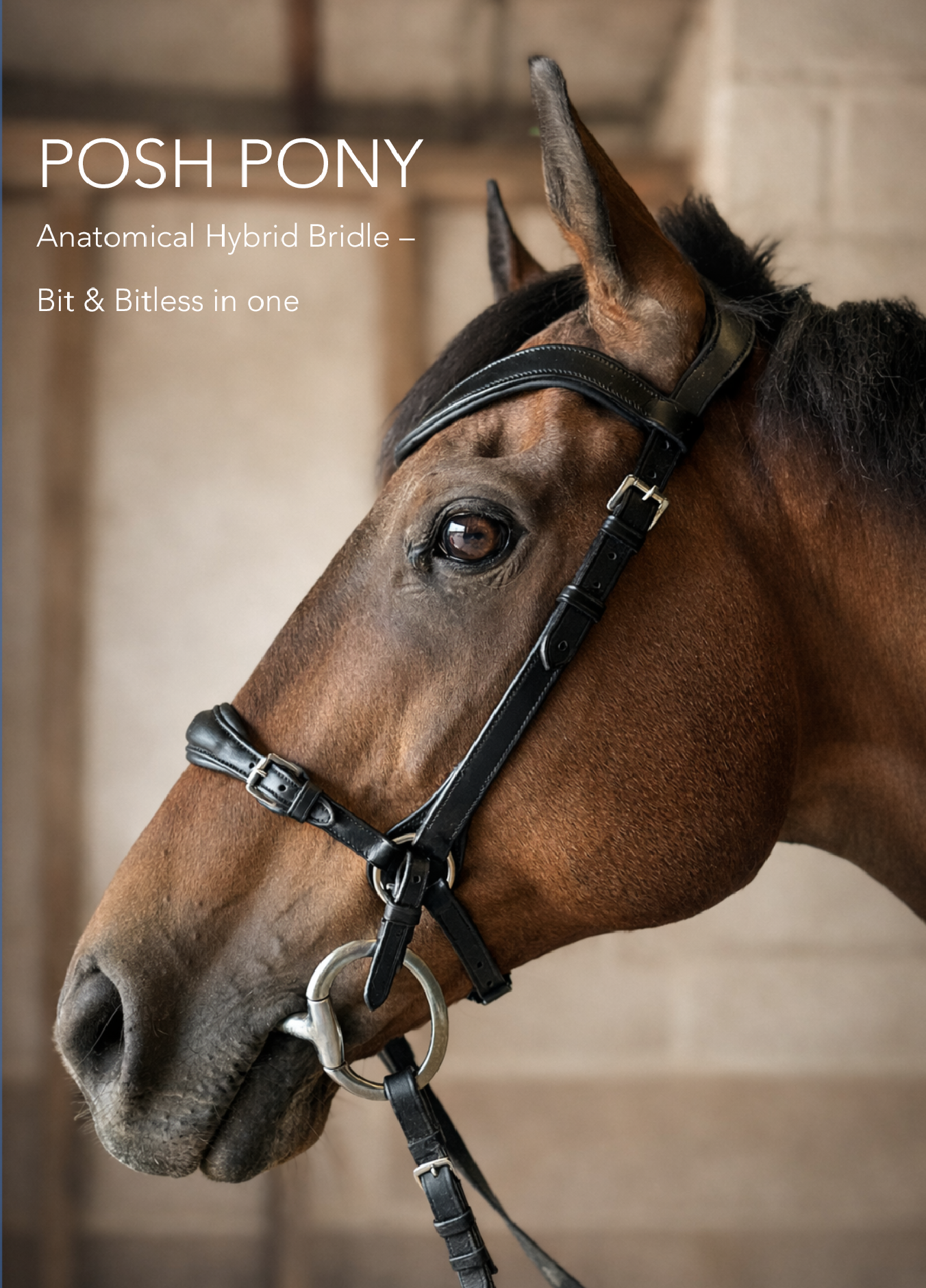 POSH PONY Anatomical Hybrid Bridle – Bit & Bitless Convertible | Includes Gripper Reins