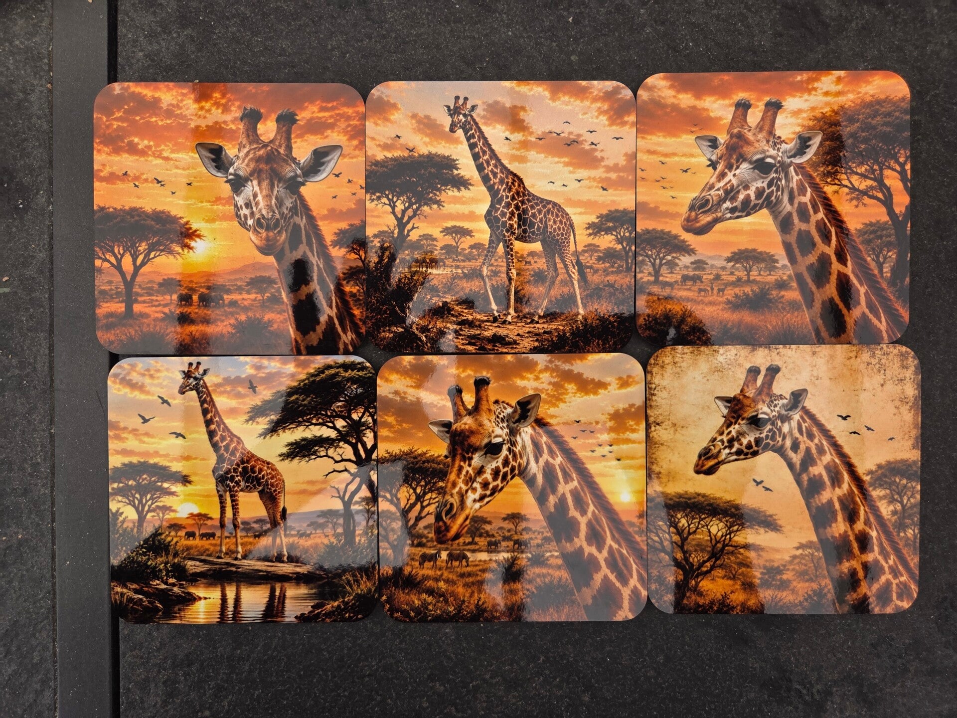 Set van 6 onderzetters - Giraffe