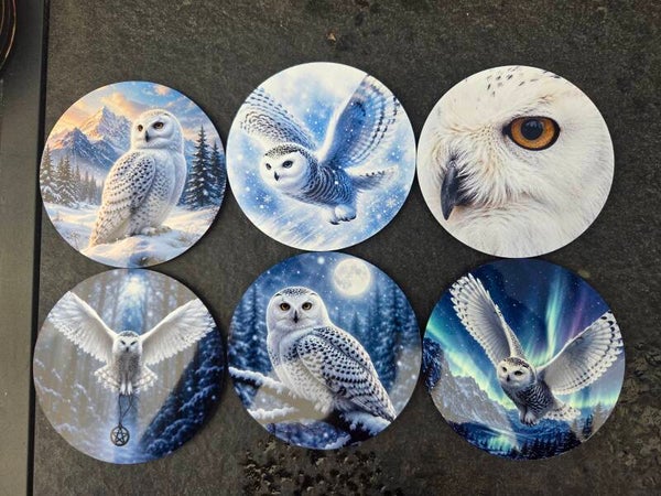 Set van 6 onderzetters - Sneeuwuil