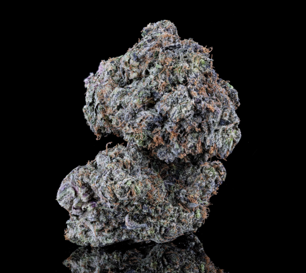 GHOST OG x ROCK STAR 4N (ELITE)