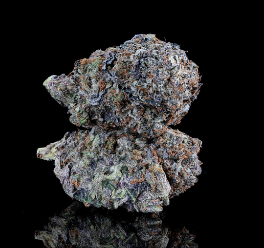 PINK TUNA (ELITE)