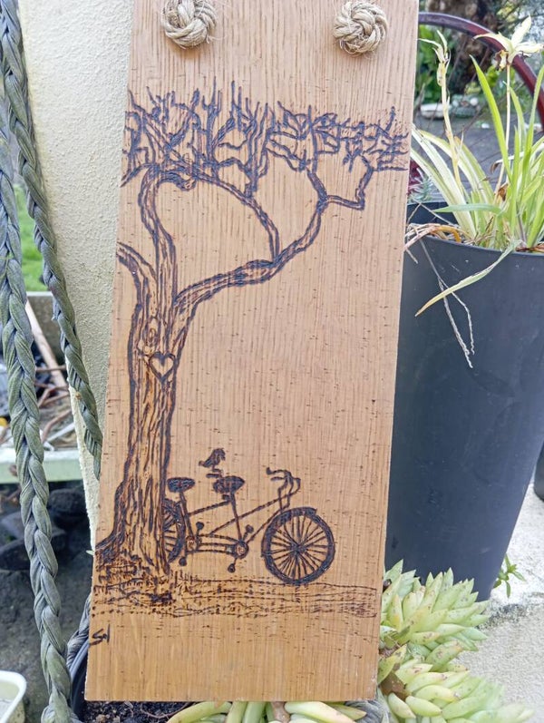 Bicicleta en el parque