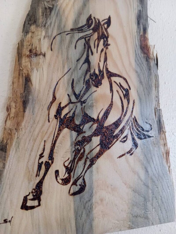 Caballo a la carrera