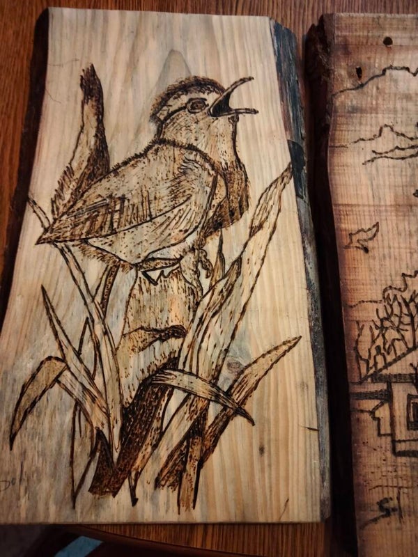 Cuadro Pájaro en flor