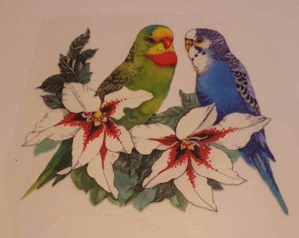 Vogel parkiet