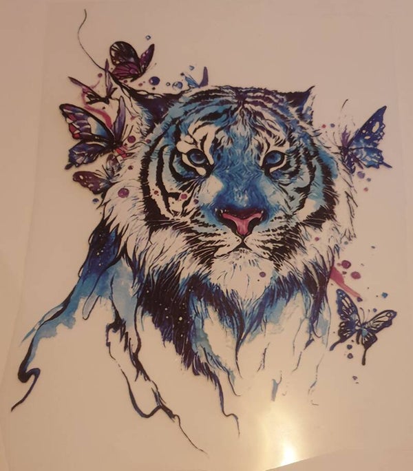 Tijger