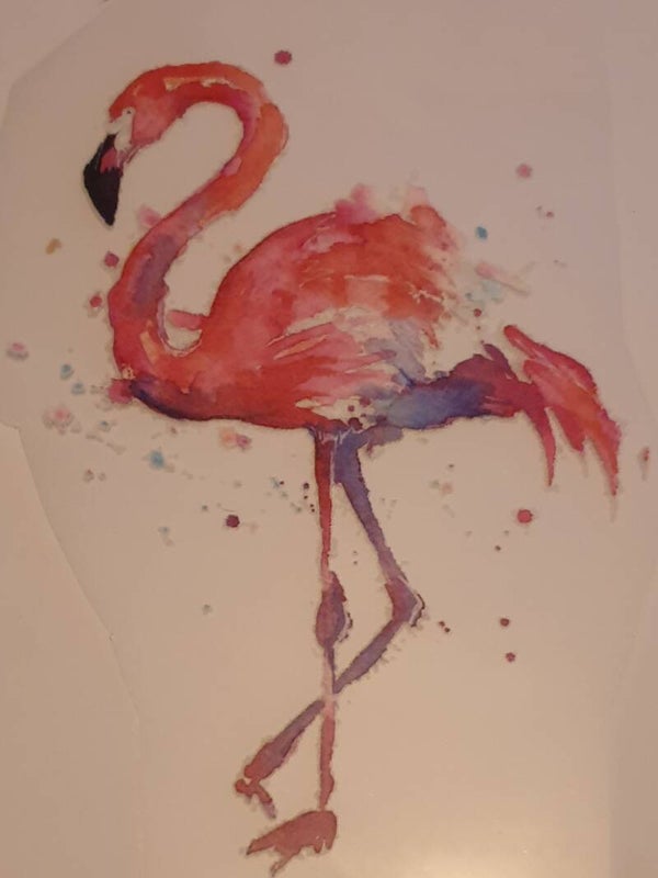 Flamingo