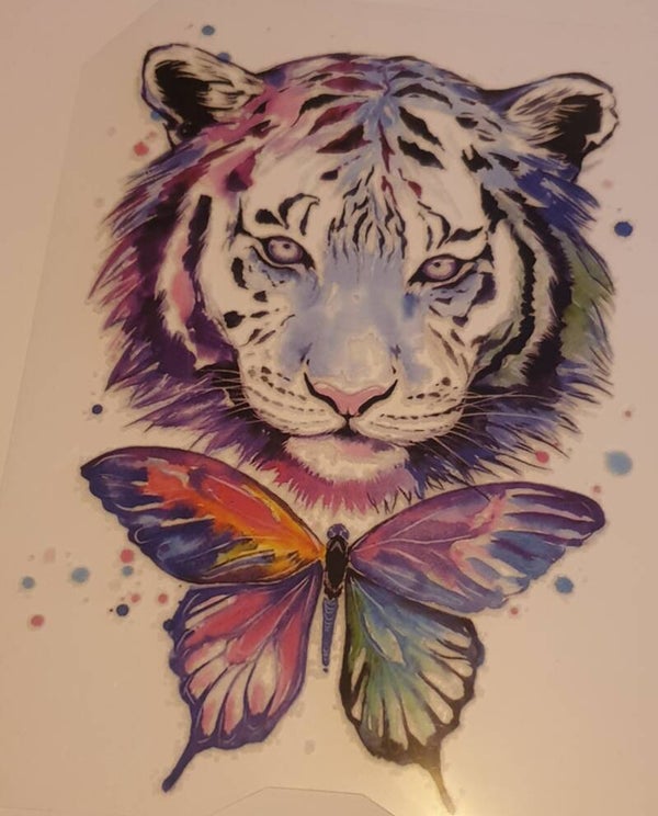 Tijger