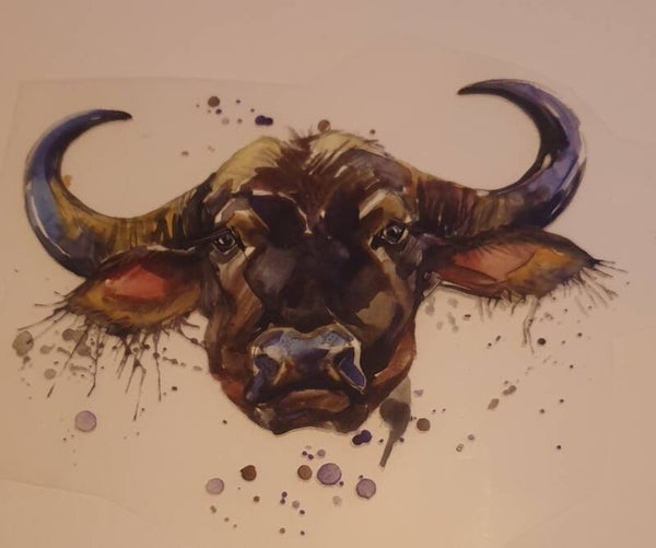Stier