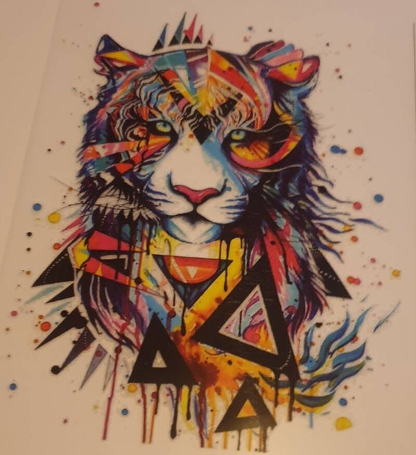Tijger