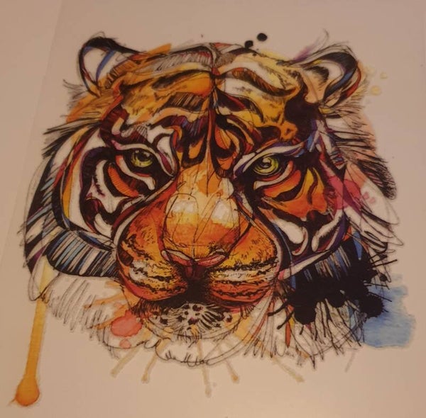 Tijger