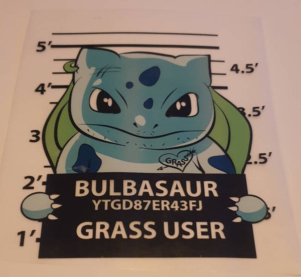 Bul bassaur
