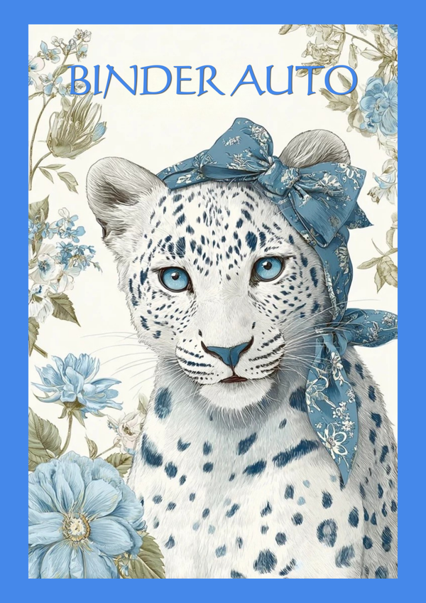 BINDER AUTO 2026 - INSERTI