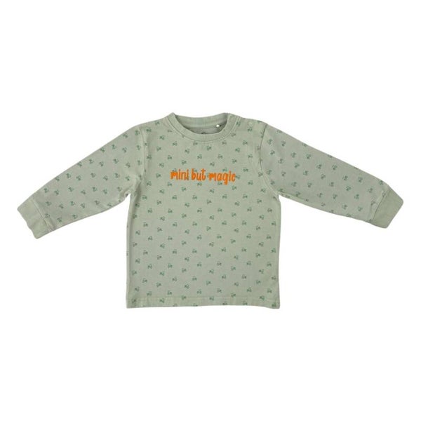 Langarmshirt "mini but magic" - Größe 92