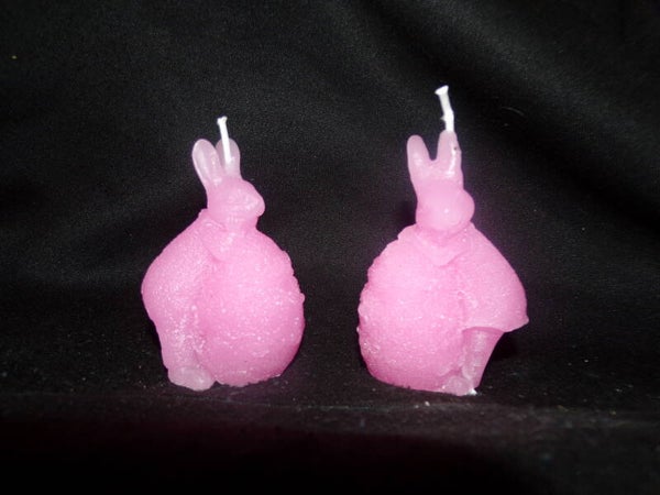 set van 2 paashazen steunend op ei, roze