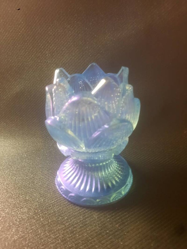 lotusbloem op voet kameleon blue