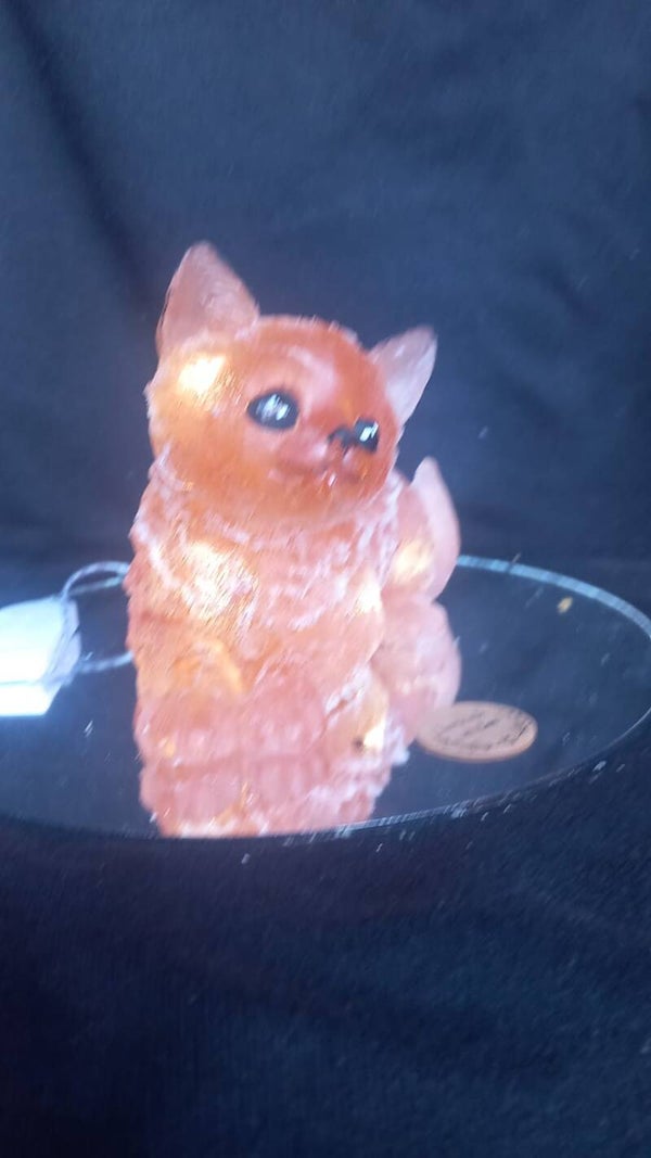 lampje liggend poesje