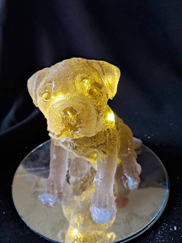 lampje stafford puppy bruin
