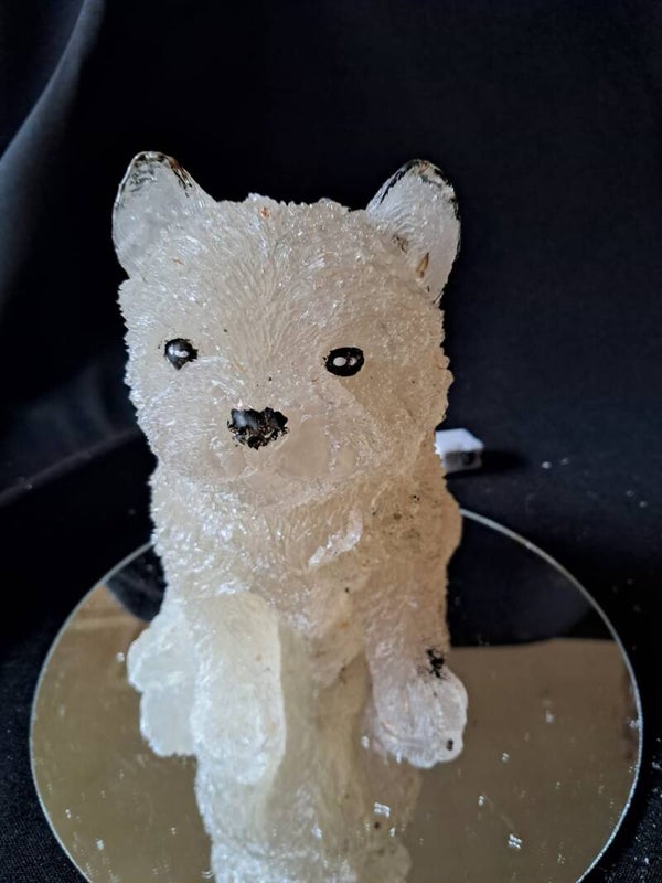 lampje cezar hondje, wit