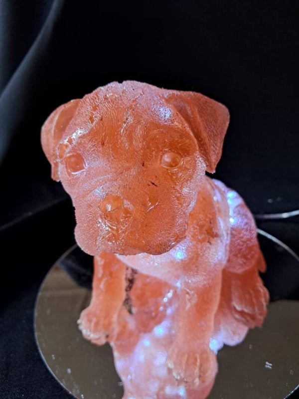 lampje stafford puppy ros