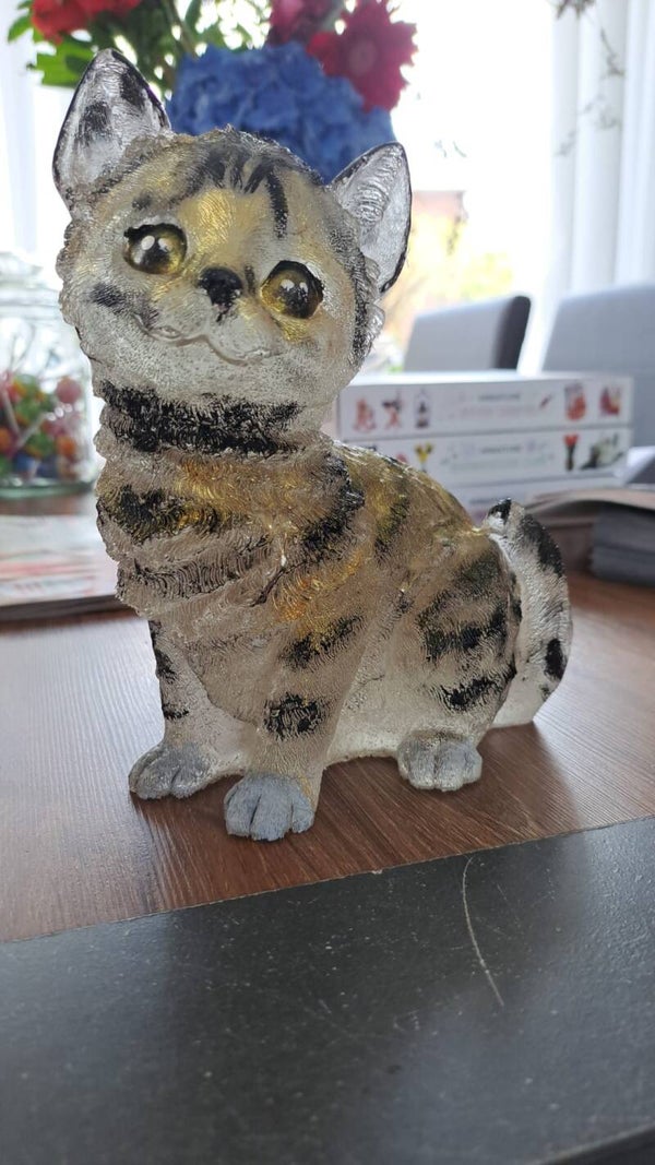 lampje kat, streepjeskat