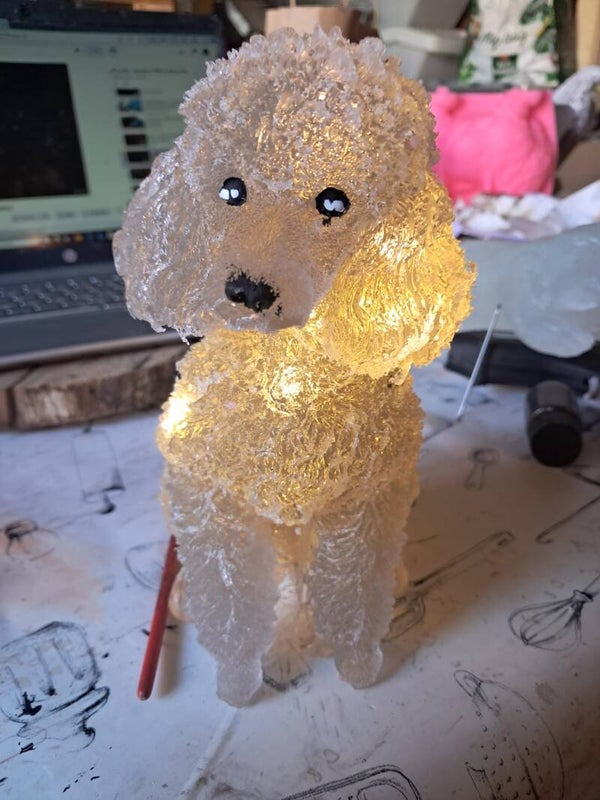 lampje poedel, lichtbruin/beige