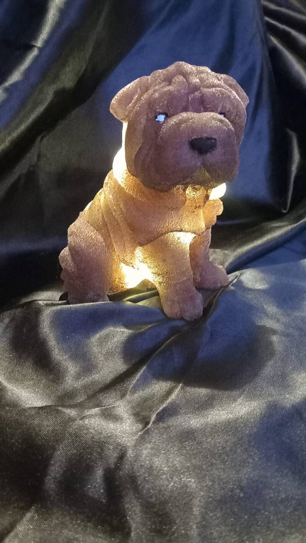 lampje sharpei