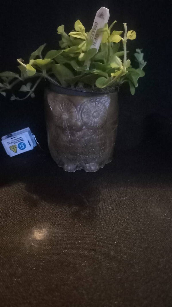 uilenbloempotje bruin met ledverlichting