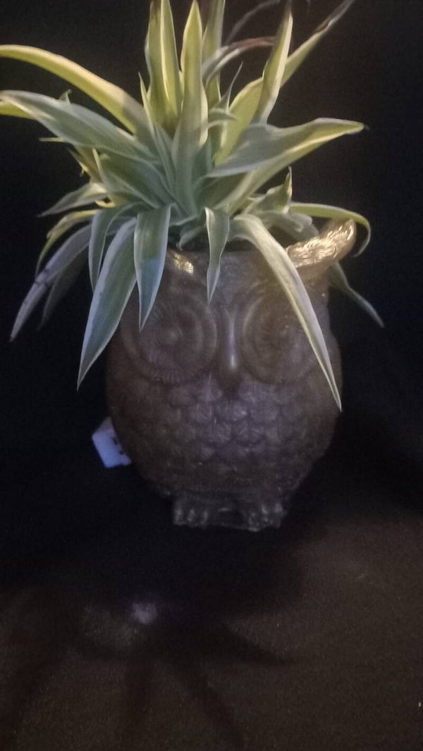 bloempot uil III,  lampje,  bruin