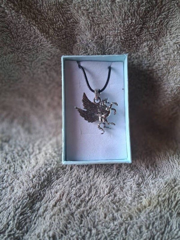 pegasus ketting