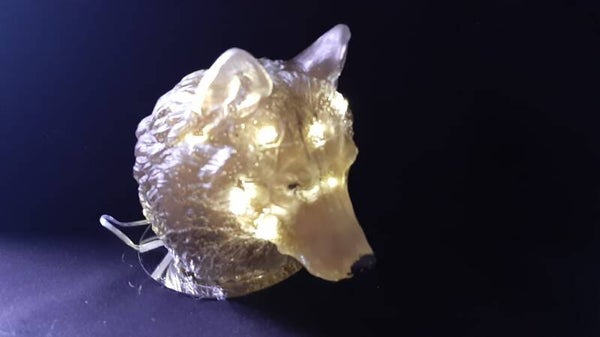 lampje wolvenkop bruin