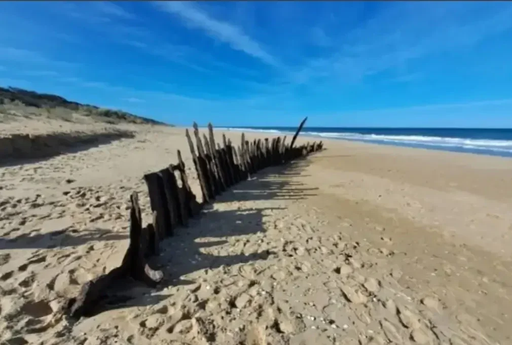 exposed iron remains of the Trinculo shipwreck on ninety mile meach, gippsland.