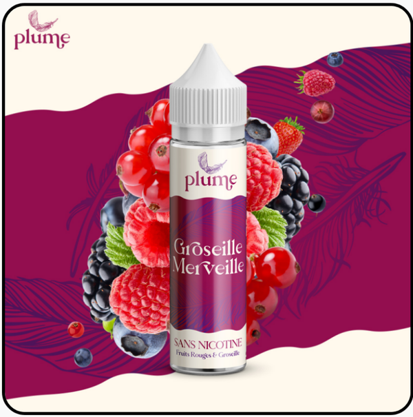 Groseille Merveille 50ml - Plume