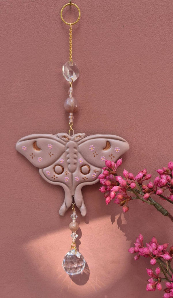 Luna moth suncacther big