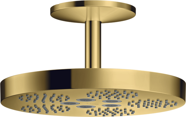 691. AXOR inbouw douchekop - 'GOLD'