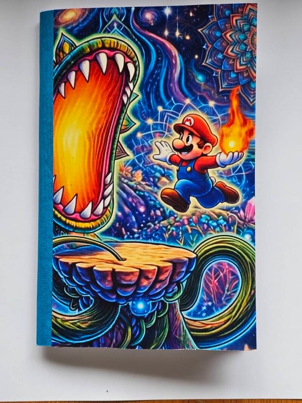 Mario avec la plante de feu