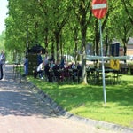 img_0768-standard-0zq87y.jpg
