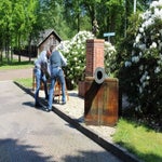img_0809-standard-tdyqeq.jpg