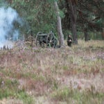 IMG_7035.jpg