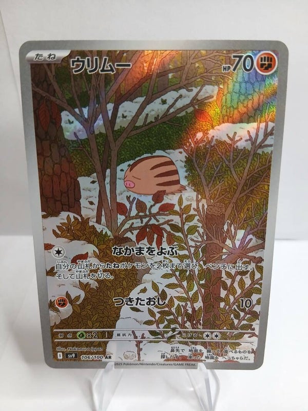 pokemon - swinub - 106 - battle partners - AR - japans