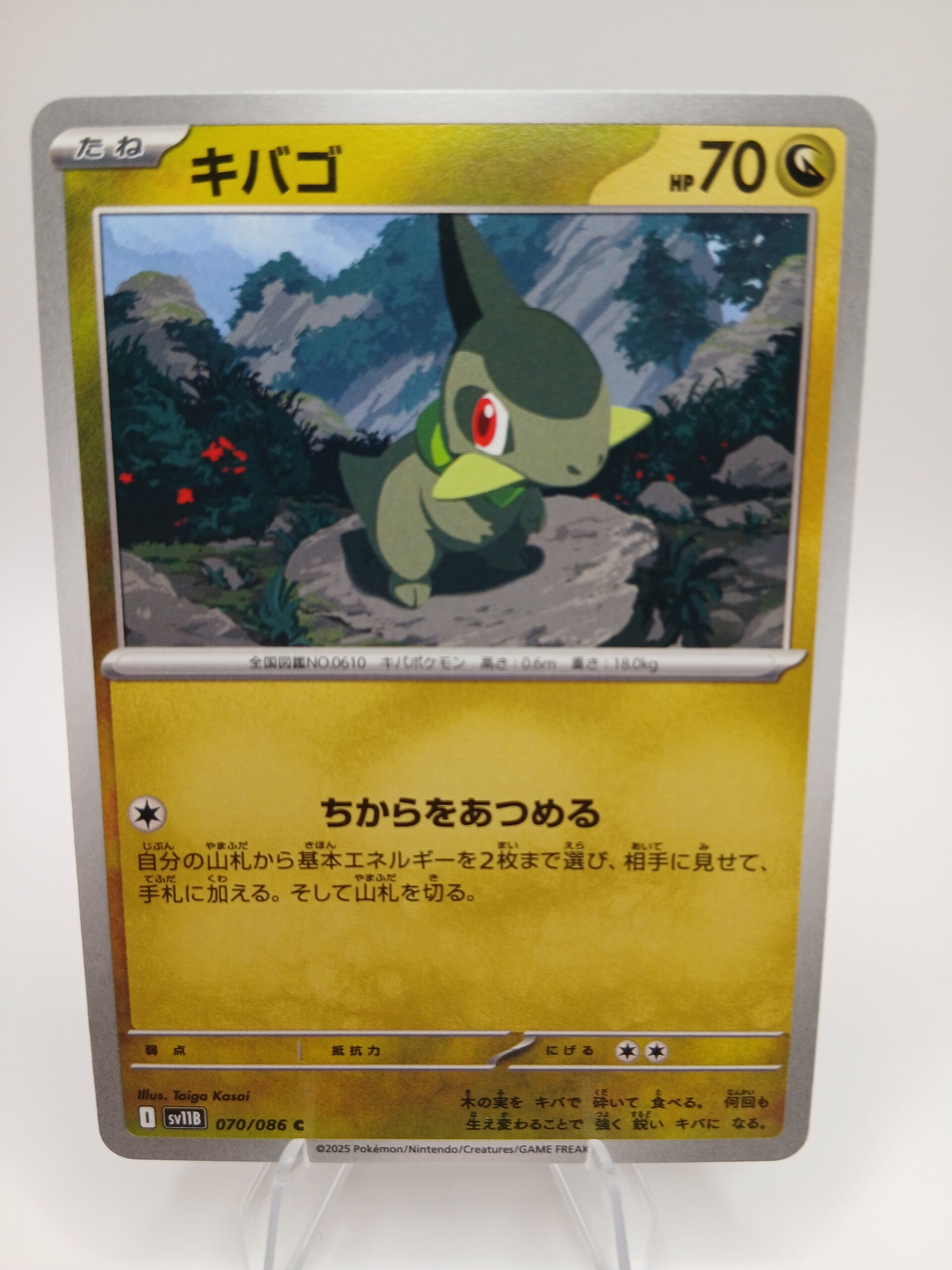 pokemon - axew - 70 - black bolt - normal - japans