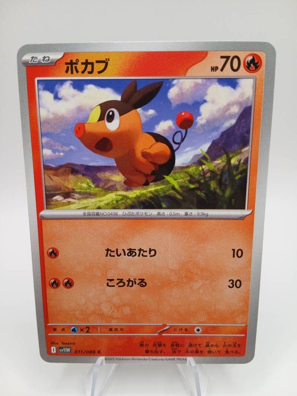 pokemon - tepig - 11 - white flare - normal - japans
