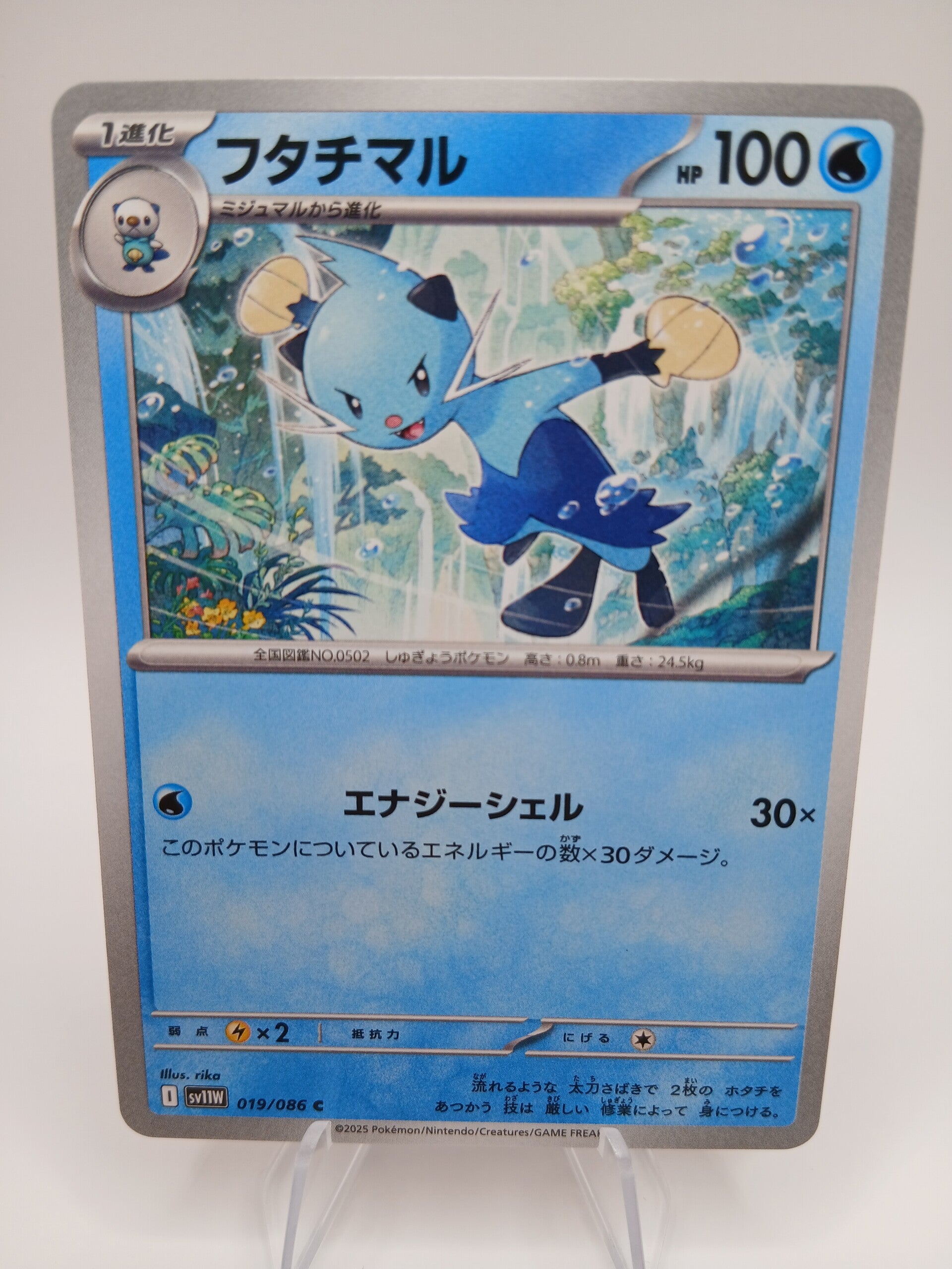 pokemon - dewott - 19 - white flare - normal - japans