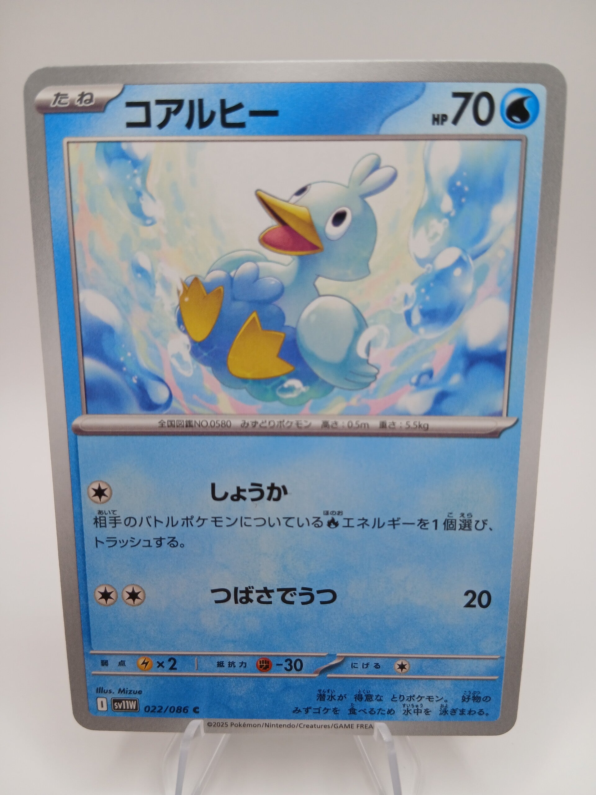 pokemon - ducklett - 22 - white flare - normal - japans