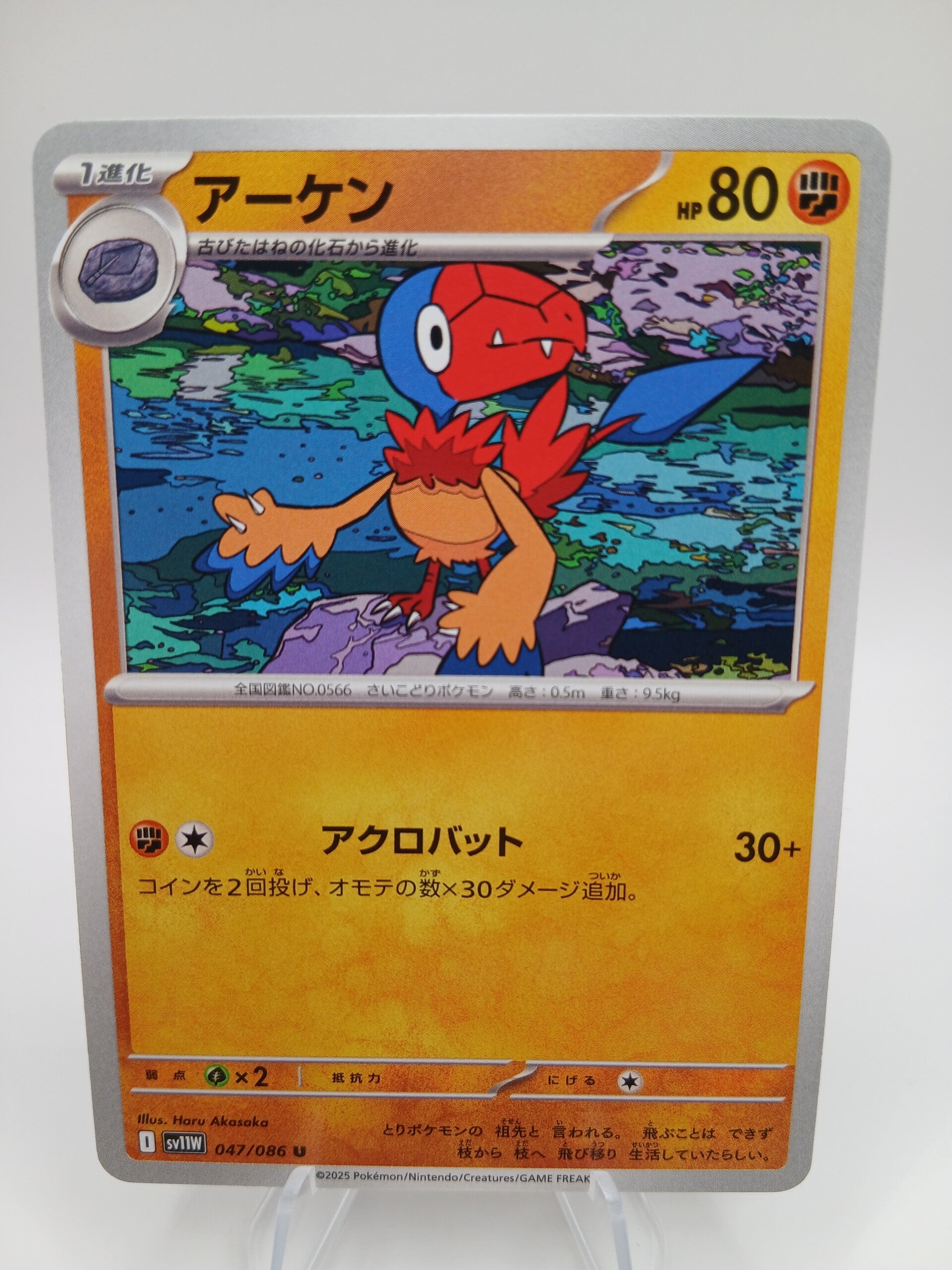 pokemon - archen - 47 - white flare - normal - japans