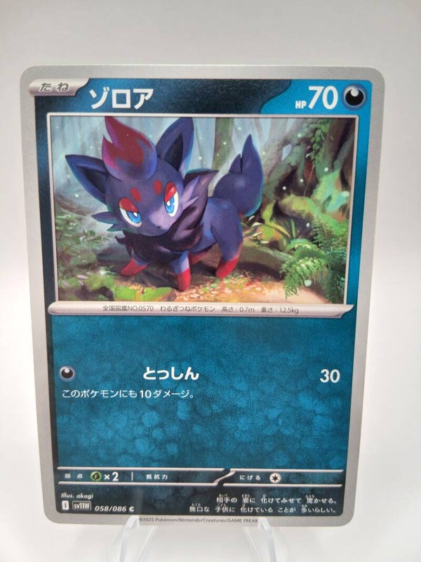 pokemon - zorua - 58 - white flare - normal - japans
